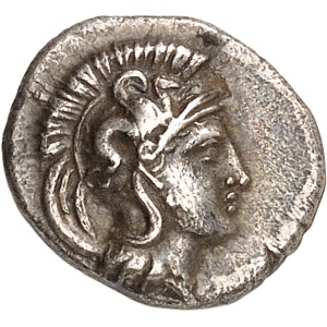 lot 7
