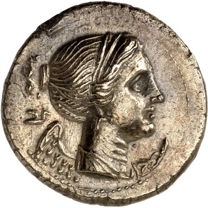 lot 11