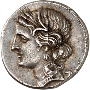 lot 12