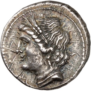 lot 14