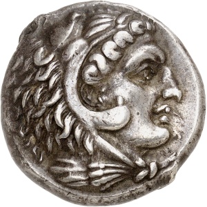 lot 24