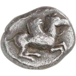 lot 101