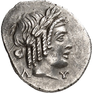 lot 194