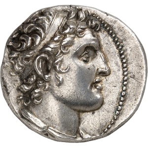 lot 207
