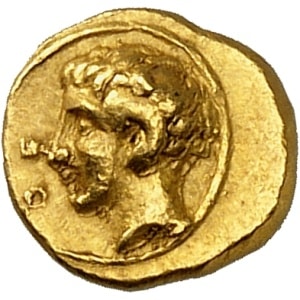 lot 223