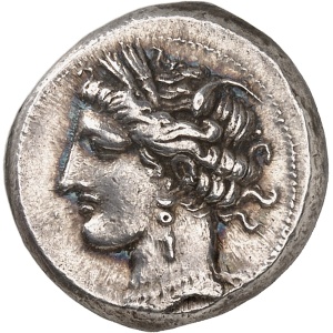 lot 228