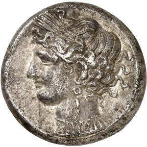 lot 229