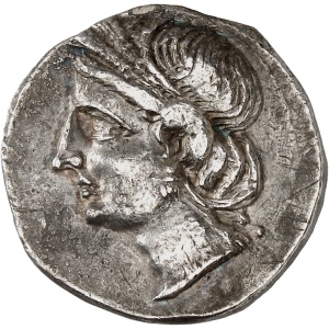 lot 230