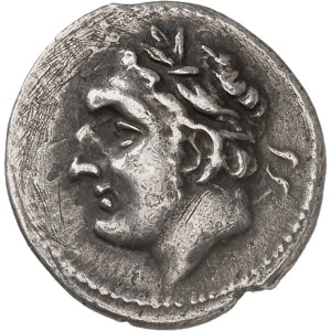 lot 233