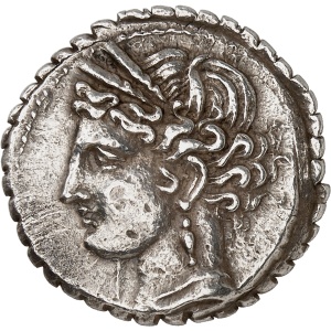 lot 235