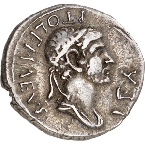 lot 243
