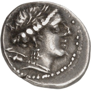 lot 290