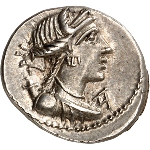lot 310