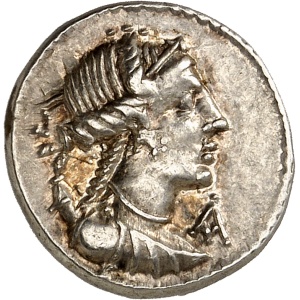 lot 311