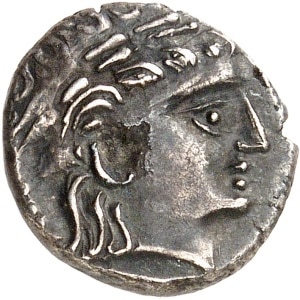 lot 445