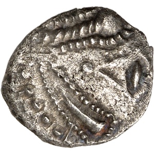 lot 493