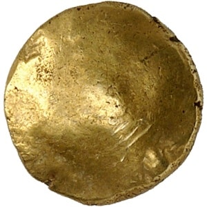 lot 501