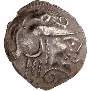 lot 505