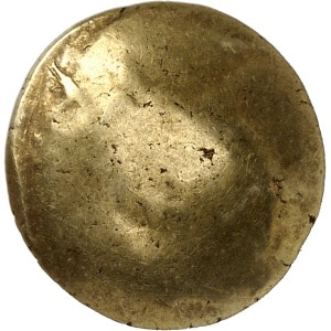 lot 509