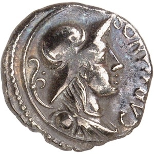lot 525