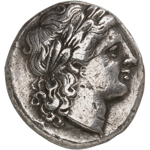 lot 555