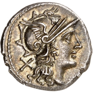 lot 558