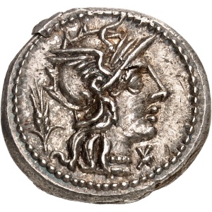 lot 562