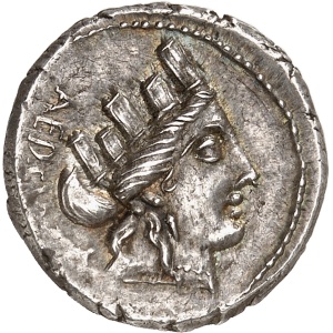 lot 567