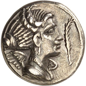 lot 569