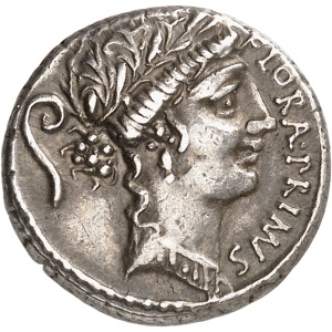 lot 579