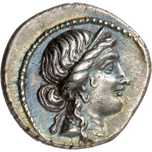 lot 595
