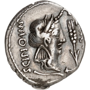 lot 596