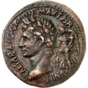 lot 630