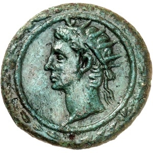 lot 642