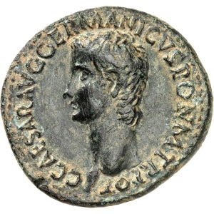 lot 646