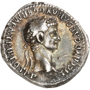 lot 655