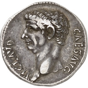 lot 657
