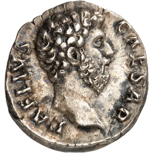 lot 704