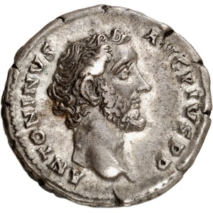 lot 705