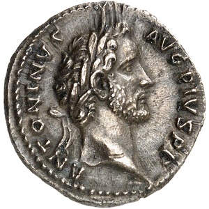 lot 706