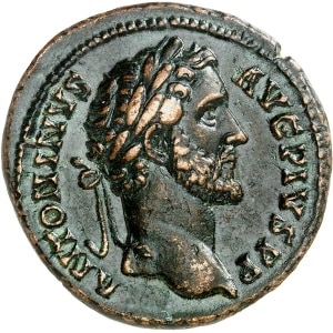 lot 707