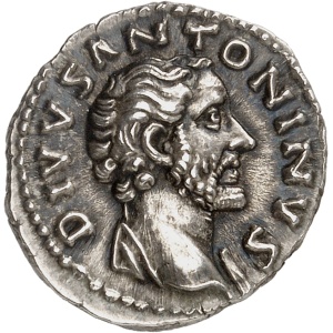 lot 709