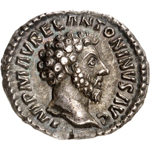 lot 711