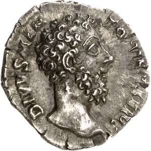 lot 713