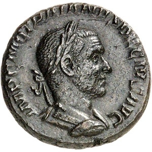 lot 719