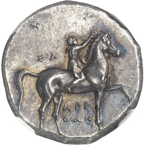 lot 755