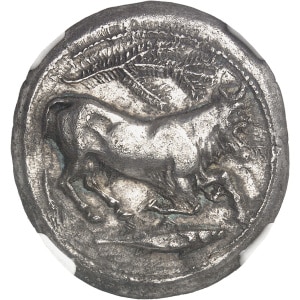 lot 762