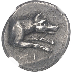 lot 781