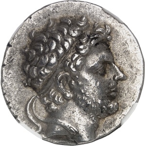 lot 795