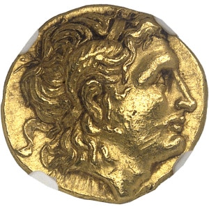 lot 799